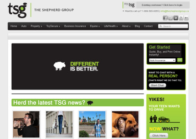 TSG-home-700